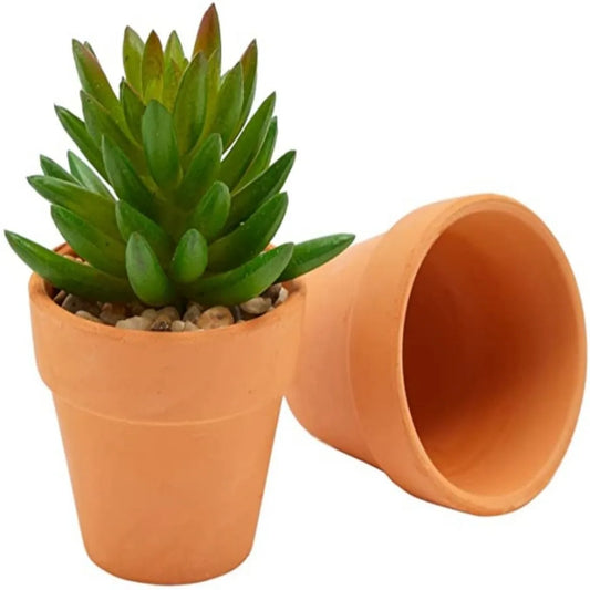 16pcs 1.8'' Terracotta Pots – Succulent & Cactus Planters with Drainage Holes, Perfect for Plants & Crafts