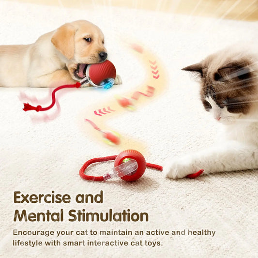 Smart Cat Interactive Ball Toy โ Automatic Rolling Rechargeable Mouse with Tail