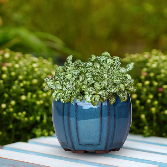 Ceramic Garden Planter Pots