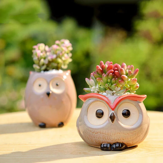Ceramic Owl Flower Pot – Cute Mini Planter for Succulents, Cactus & Home/Office Decor