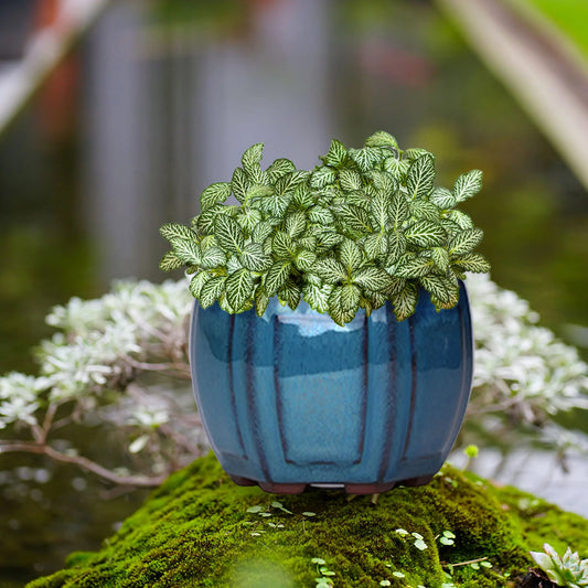 Ceramic Garden Planter Pots