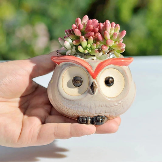 Ceramic Owl Flower Pot – Cute Mini Planter for Succulents, Cactus & Home/Office Decor