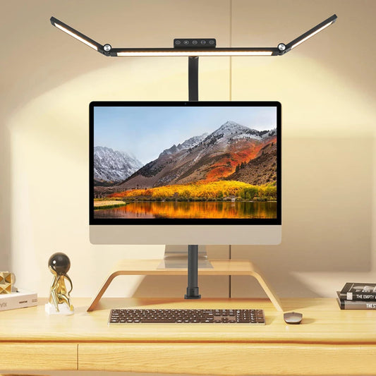 Double-Head LED Desk Lamp
