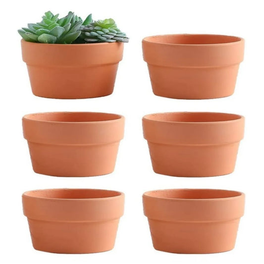 6pcs Terracotta Flower Pots 3.5"x2.2" – Clay Planters with Drainage for Cactus & Succulent Plants
