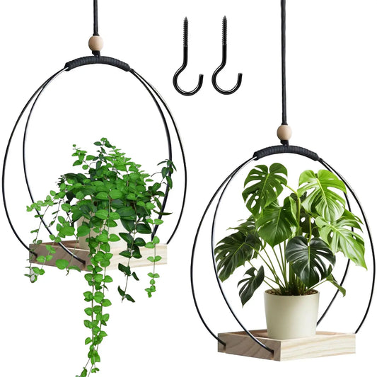 Metal Ring Hanging Basket with Wooden Base
