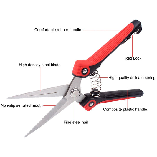 RDDSPON Pruning Shears – Stainless Steel Branch Scissors with Non-Slip Handle | Sharp Garden & Fruit Tree Pruning Tool