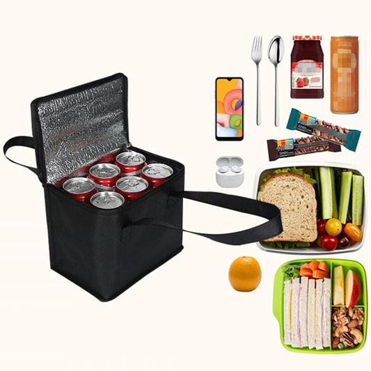 Portable Insulated Picnic Lunch Bag