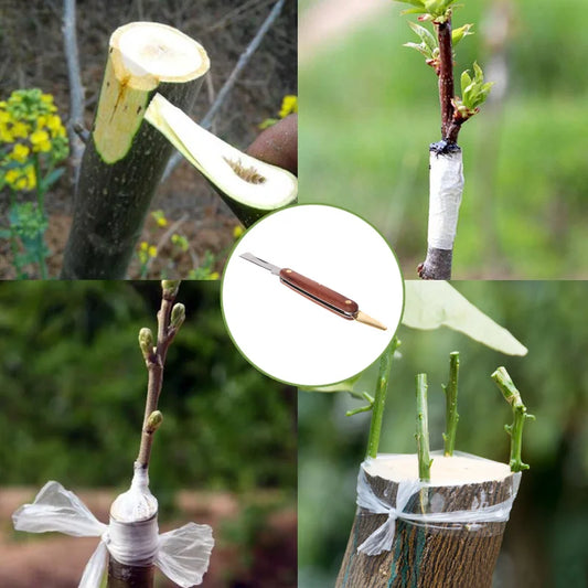 Foldable Grafting Cutter Tool – Professional Stainless Steel Pruning & Grafting Knife for Gardening