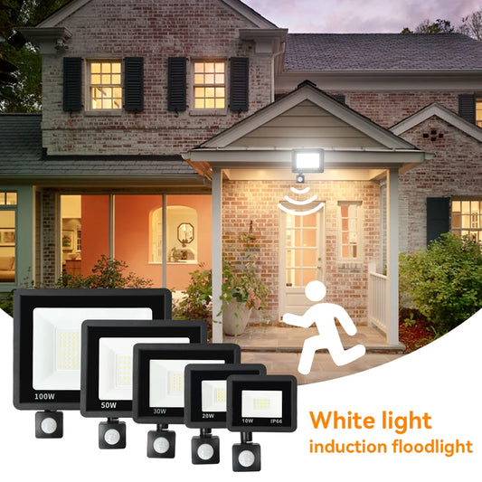LED Floodlight with PIR Motion Sensor – White/Warm White, IP66, AC220V Outdoor Spotlight
