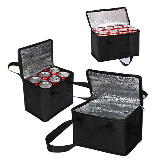 Portable Insulated Picnic Lunch Bag