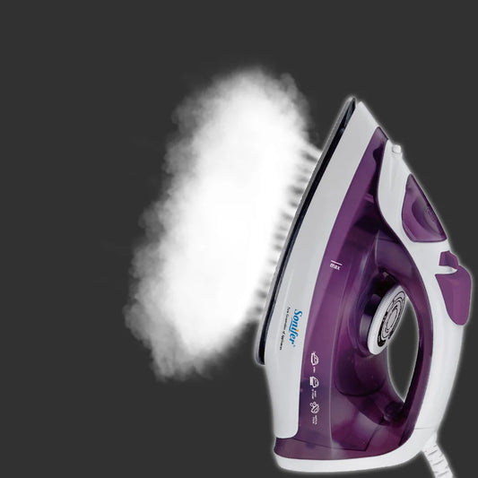 Portable Mini Garment Steamer Iron