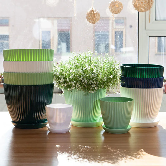 Round Succulent Flower Pot with Tray